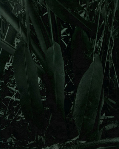 Ingar Krauss