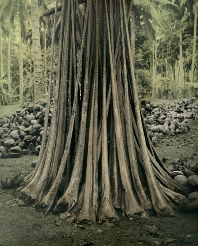Ingar Krauss
