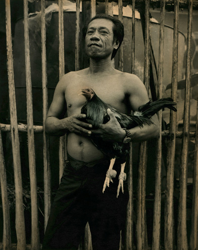Ingar Krauss