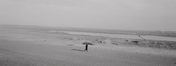 Bernard Plossu