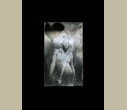 Michael Ackerman
