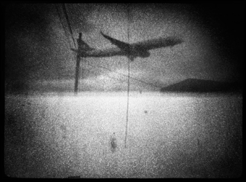 Michael Ackerman
