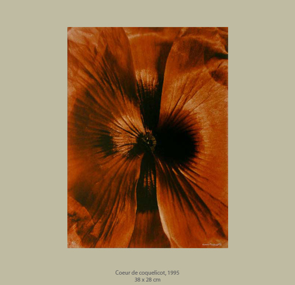 Denis Brihat