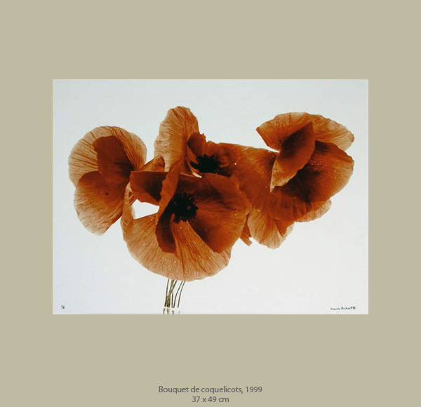 Denis Brihat