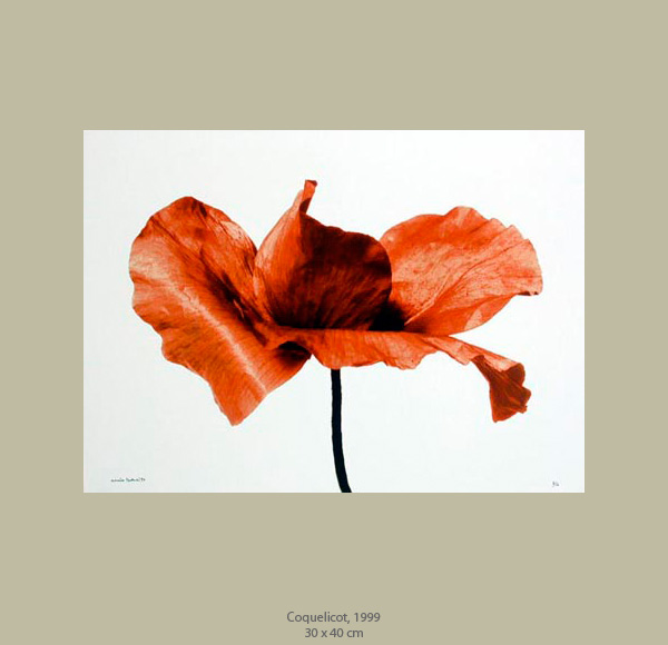 Denis Brihat