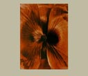 Denis Brihat