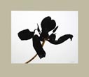 Denis Brihat