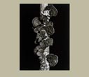 Denis Brihat