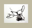 Denis Brihat