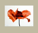Denis Brihat