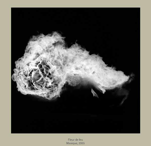 Denis Brihat