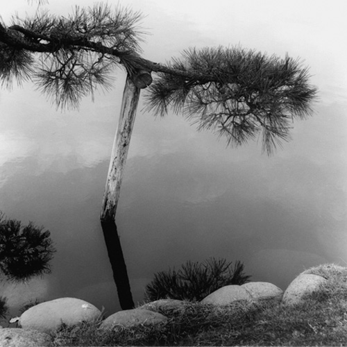 Bernard Descamps