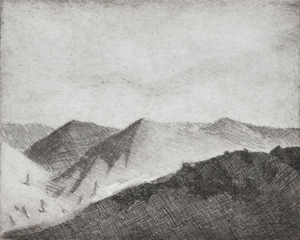 Marcelo Fuentes