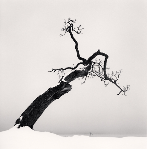 Michael Kenna