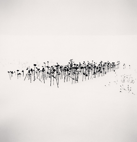 Michael Kenna