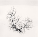 Michael Kenna