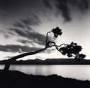 Michael Kenna