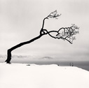 Michael Kenna