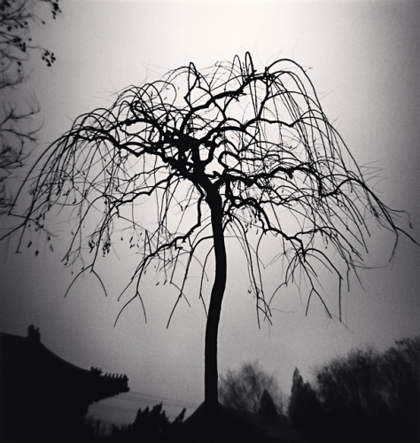Michael Kenna