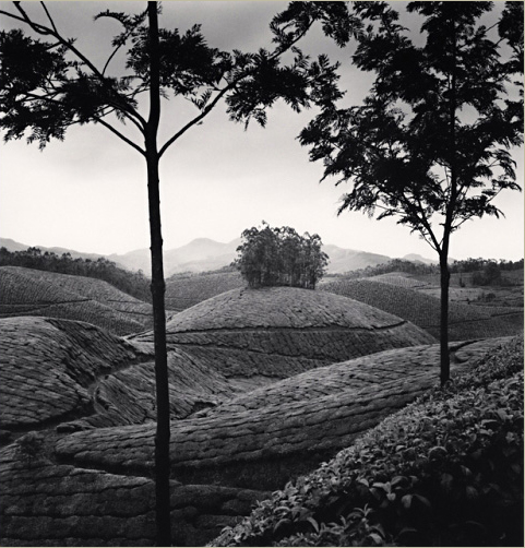 Ingar Krauss