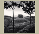 Michael Kenna 