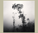 Michael Kenna 