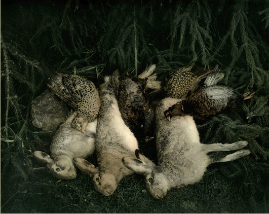 Ingar Krauss