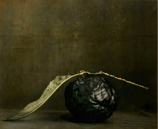 Ingar Krauss