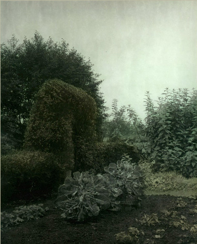 Ingar Krauss