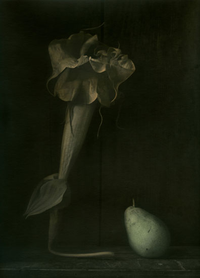 Ingar Krauss