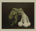 Ingar Krauss