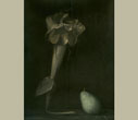 Ingar Krauss