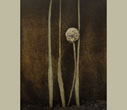 Ingar Krauss
