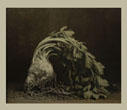 Ingar Krauss