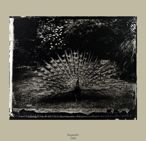 Denis Brihat