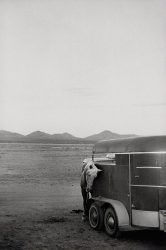 Bernard Plossu
