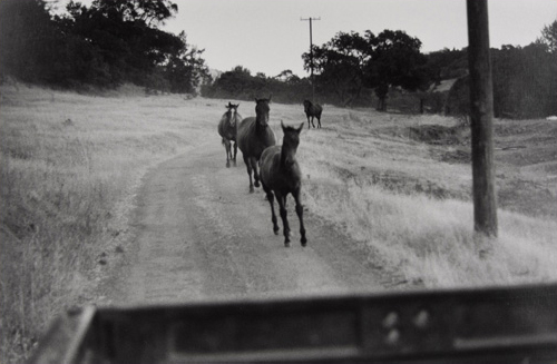 Bernard Plossu