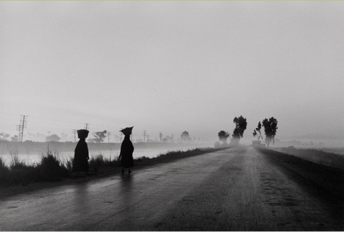 Bernard Plossu