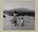 Bernard Plossu