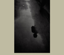 Bernard Plossu