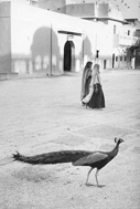 Marc Riboud