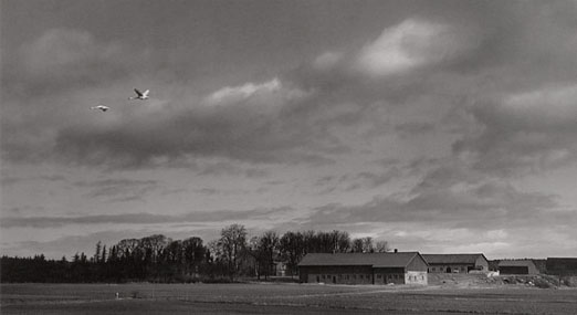 Pentti Sammallahti