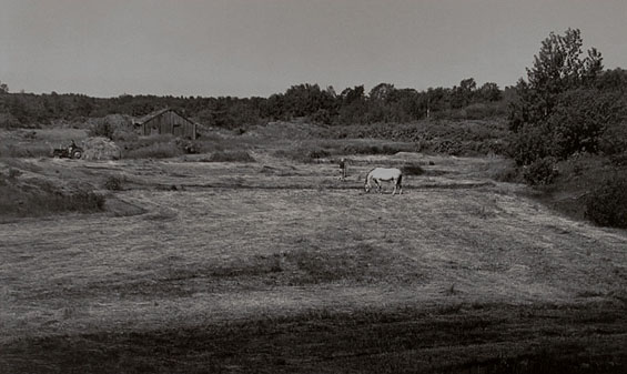 Pentti Sammallahti