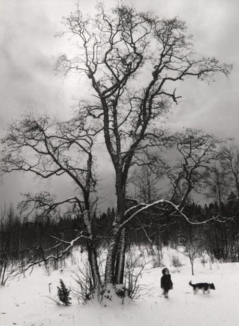 Pentti Sammallahti