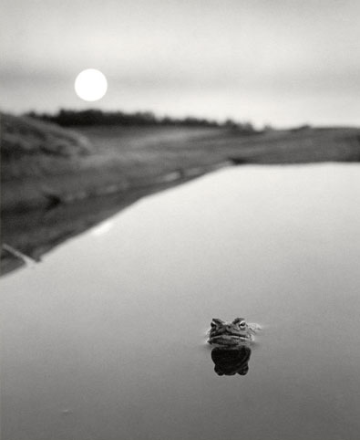 Pentti Sammallahti