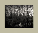 Pentti Sammallahti