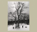 Pentti Sammallahti