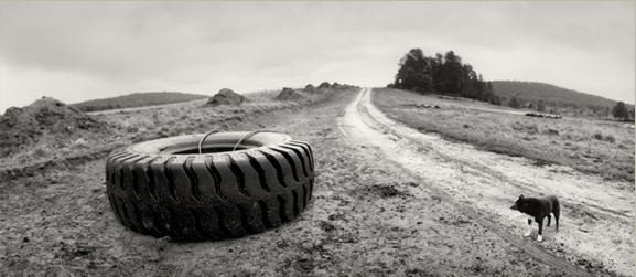 Pentti Sammallahti