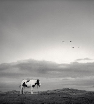 Pentti Sammallahti