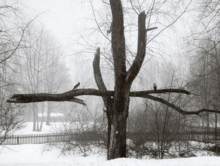 Pentti Sammallahti